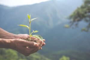 How the Environment Shapes Behaviour More Than Motivation
