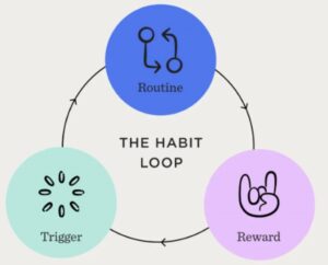 Diagram titled The Habit Loop with three circles labeled Trigger, Routine, and Reward connected in a cycle.